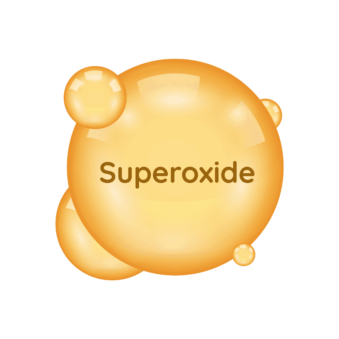 Superoxide dismutase (SOD)