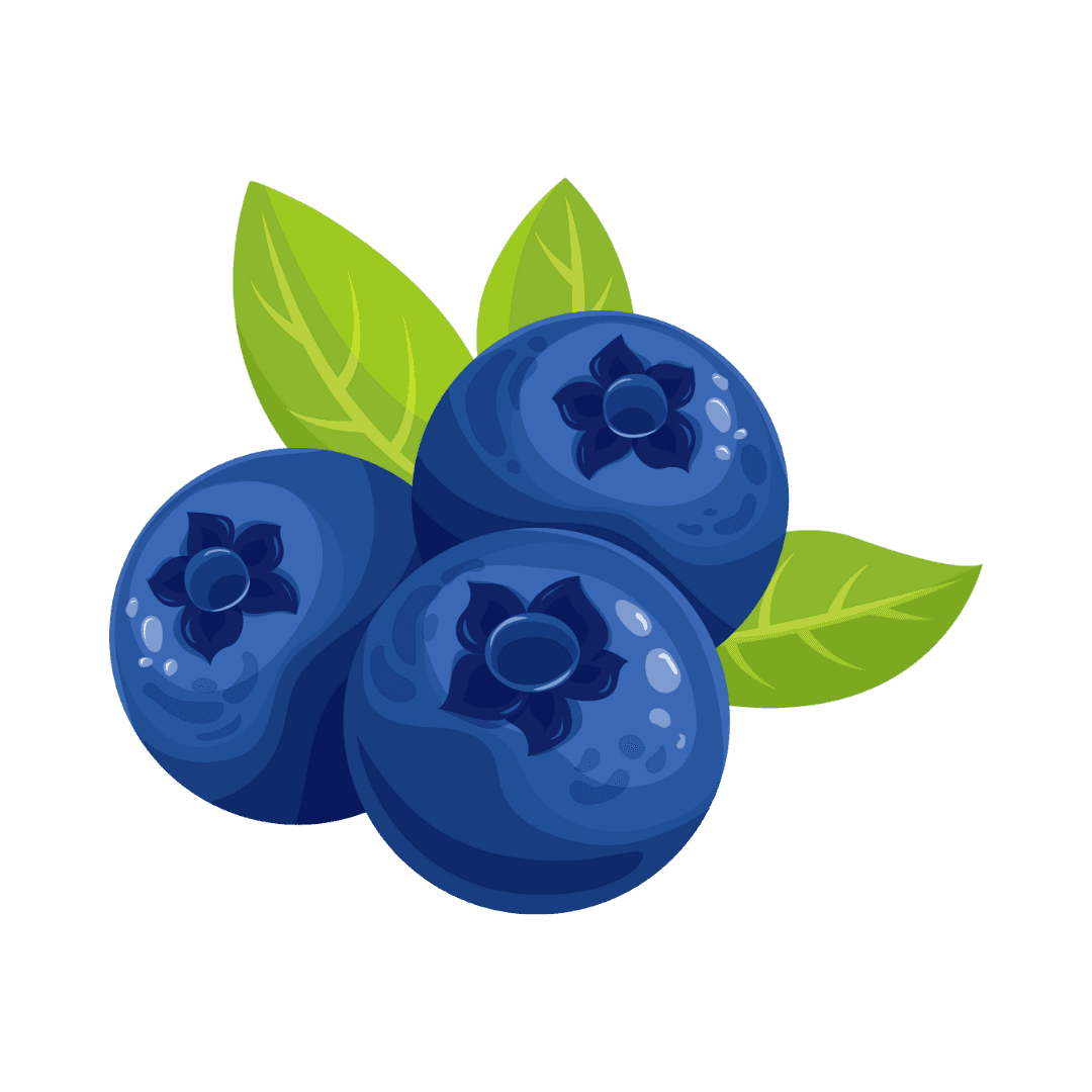 Blueberry Extract