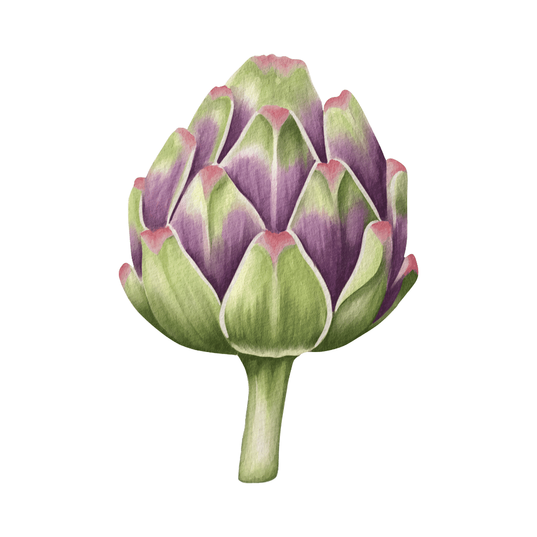 Artichoke